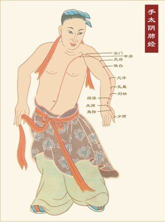 Kinh Thủ thái âm Phế