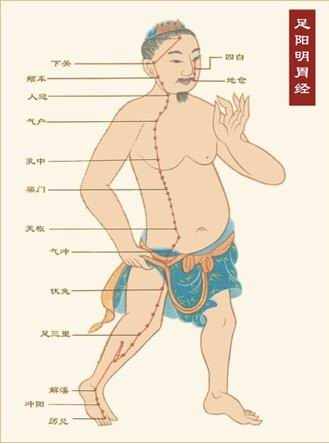 túc dương minh Vị