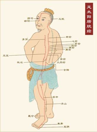 Kinh túc thái dương Bàng quang 