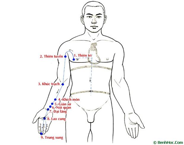 Kinh Thủ Quyết âm Tâm bào