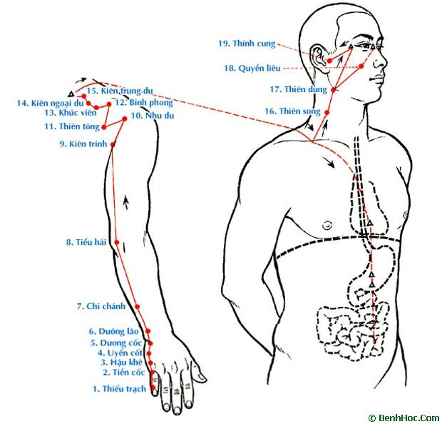 Kinh Thủ Thái dương Tiểu trường