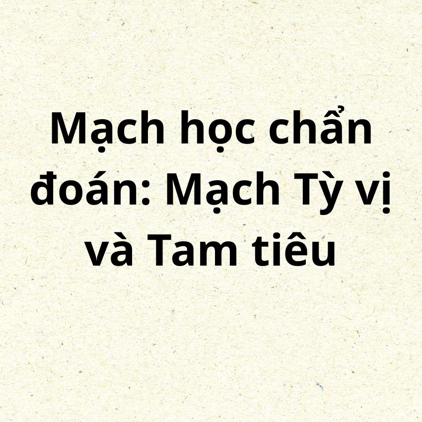 Mạch Tỳ vị và Tam tiêu