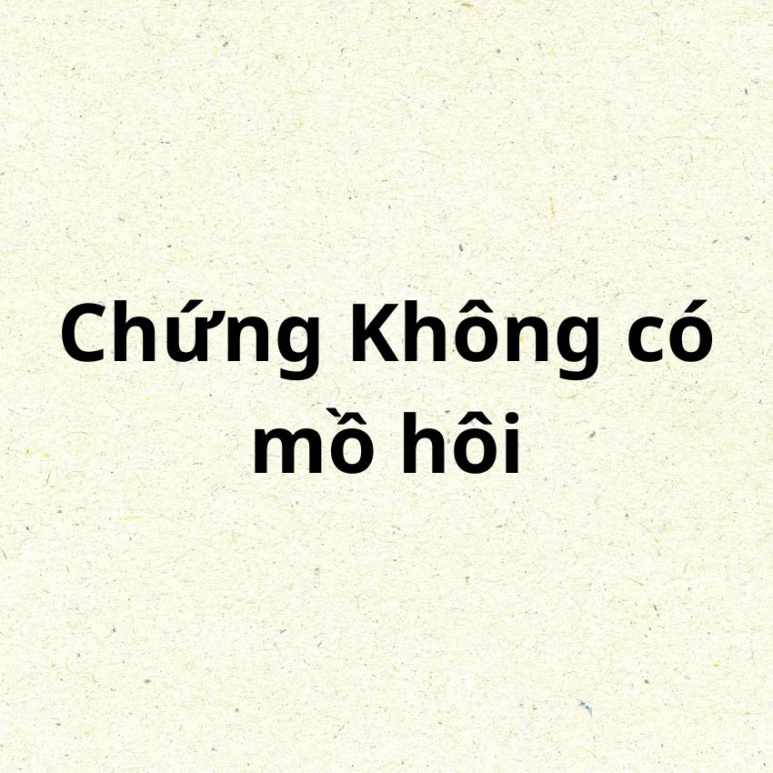 Không có mồ hôi Không có mồ hôi