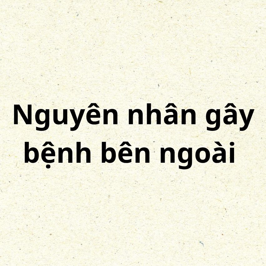 Nguyên nhân gây bệnh bên ngoài