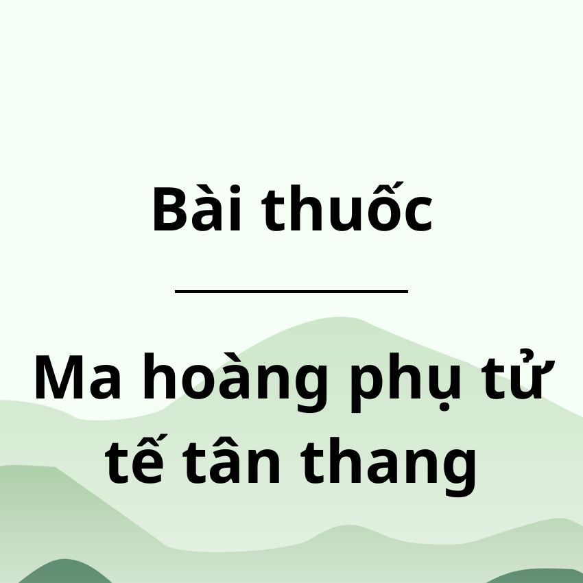 Ma hoàng phụ tử tế tân thang