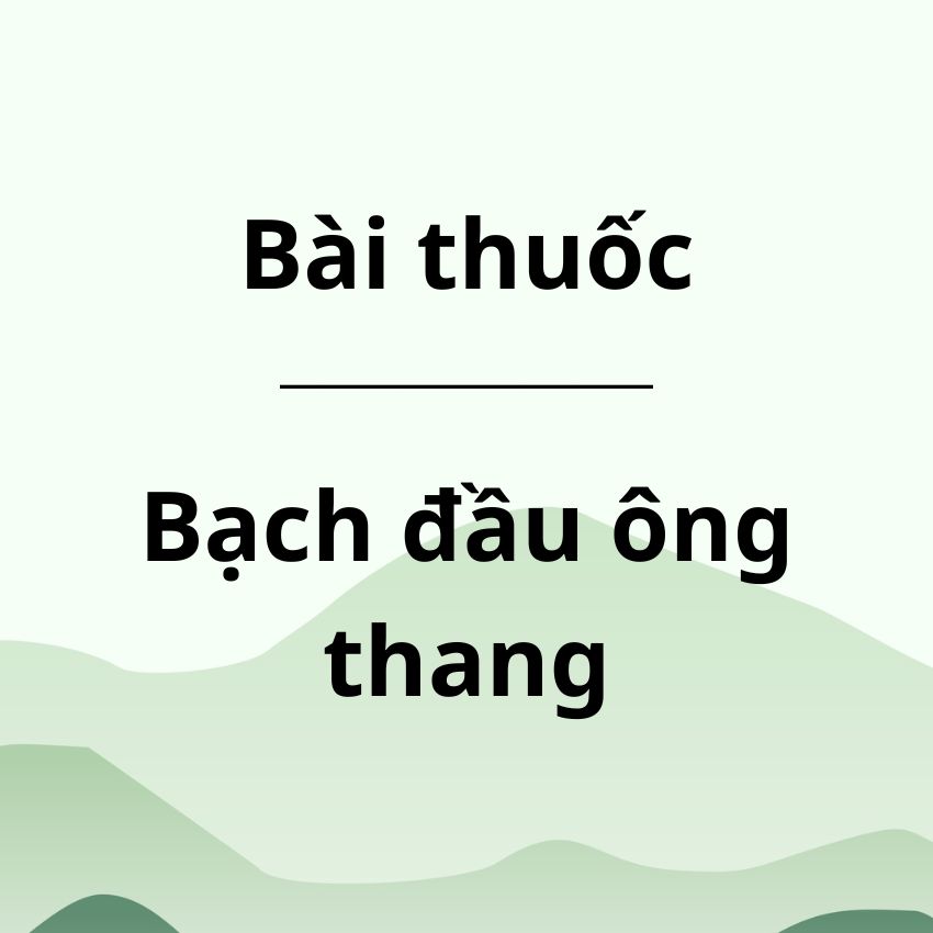 Bài thuốc Bạch đầu ông thang
