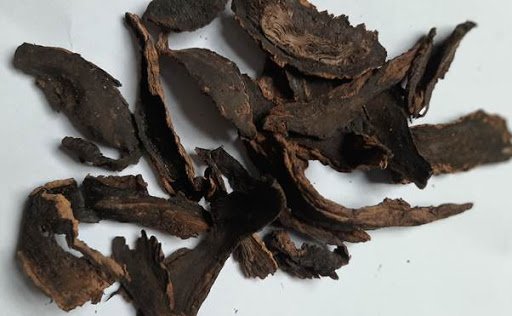 Huyền sâm làm mát cơ thể